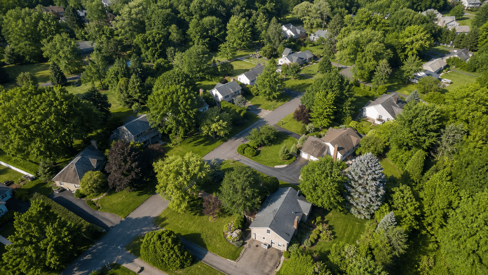 Leafy residential neighborhood in the Alpha Irrigations service area